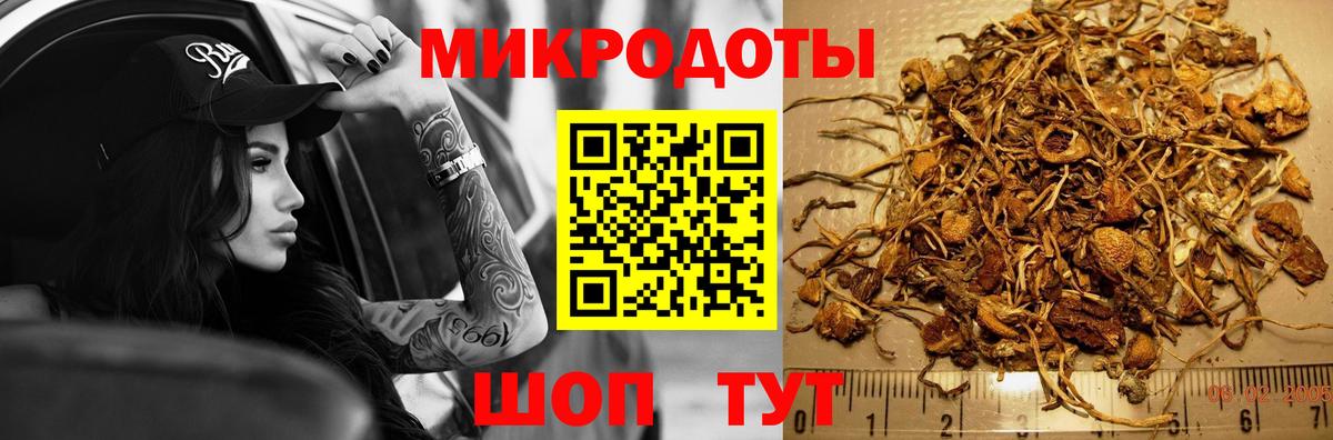 Псилоцибиновые грибы мицелий Учалы